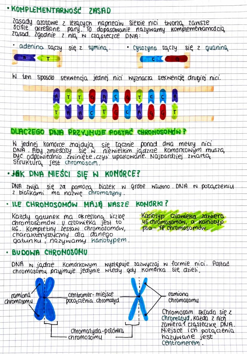 NOŚNIK INFORMACJI GENETYCZNEJ
DNA
Zapis wszystkich cech dziedzicznych organizmu nazywamy informacja
genetyczna. Jej nosnikiem jest material 
