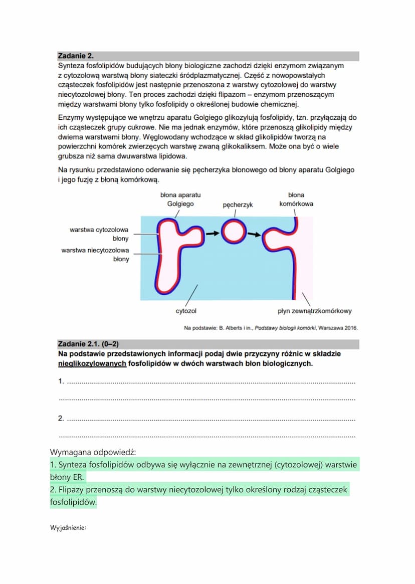 Biologia matura czerwiec 2022
Zadanie 1.
Wolne żelazo jest toksyczne dla komórek i z tego powodu jest ono prawie u wszystkich
organizmów mag