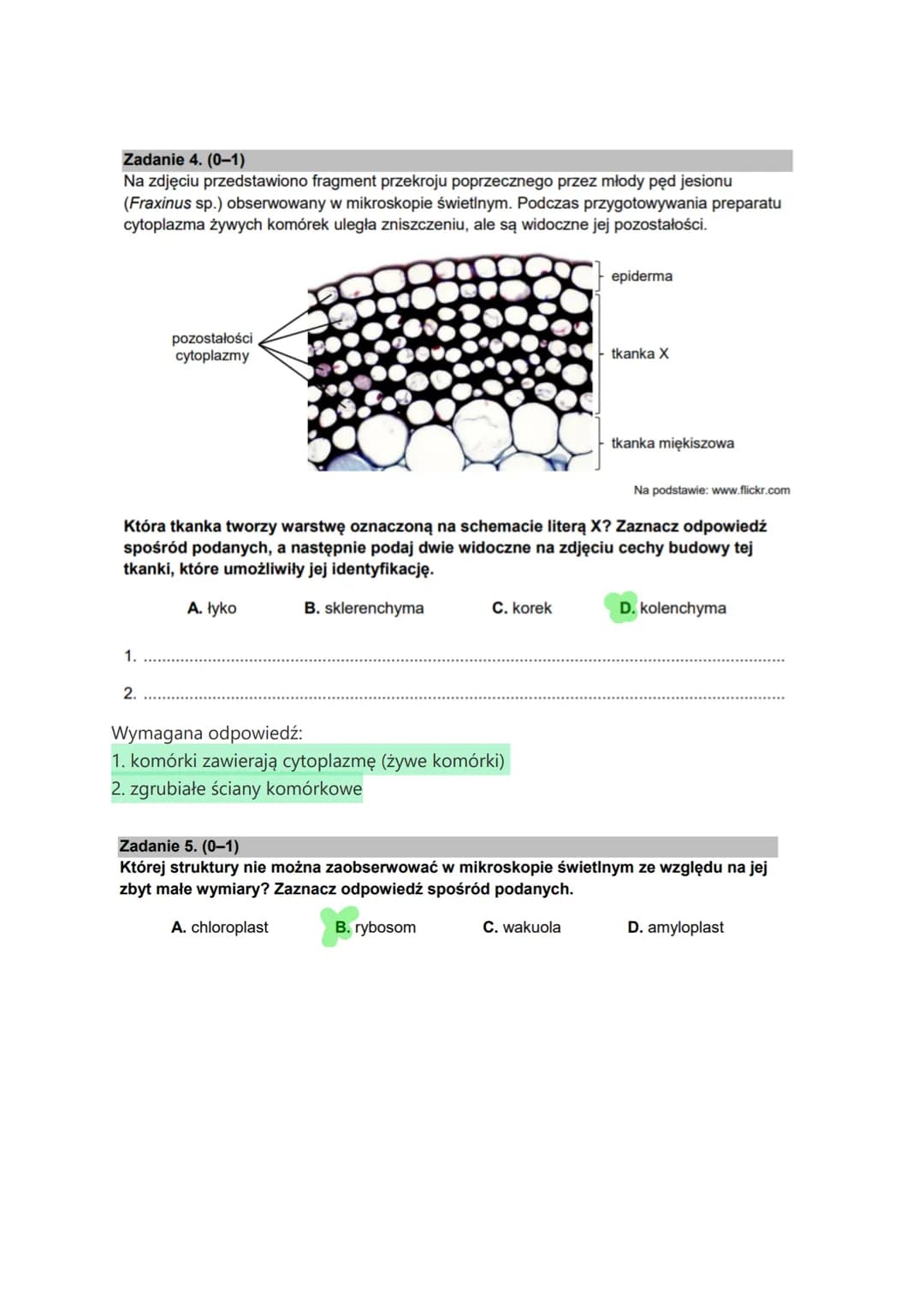 Biologia matura czerwiec 2022
Zadanie 1.
Wolne żelazo jest toksyczne dla komórek i z tego powodu jest ono prawie u wszystkich
organizmów mag