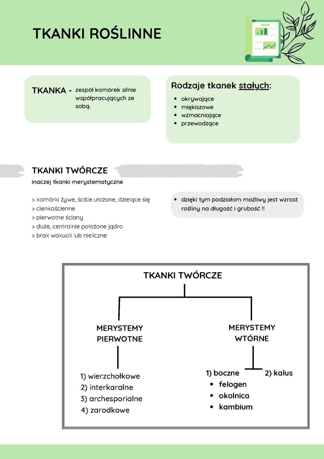 Notatka Biologia Rozszerzenie Tkanki roślinne