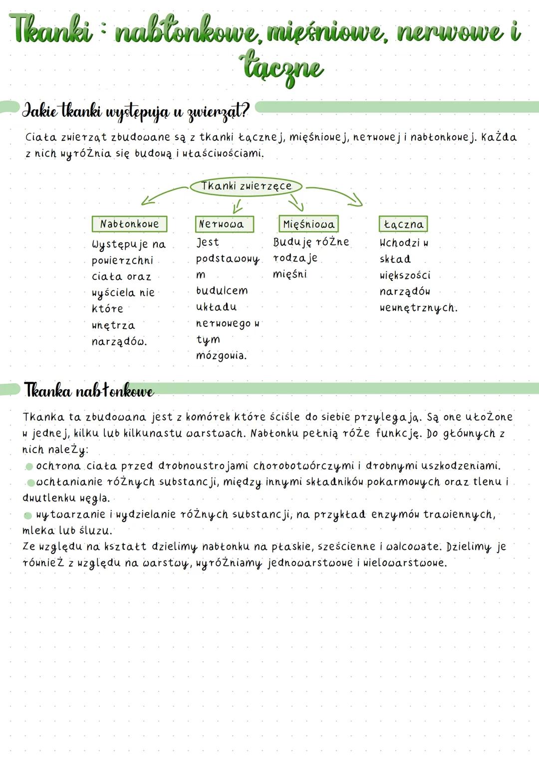 Tkanki : nabłonkowe, mięśniowe, nerwowe i łączne 