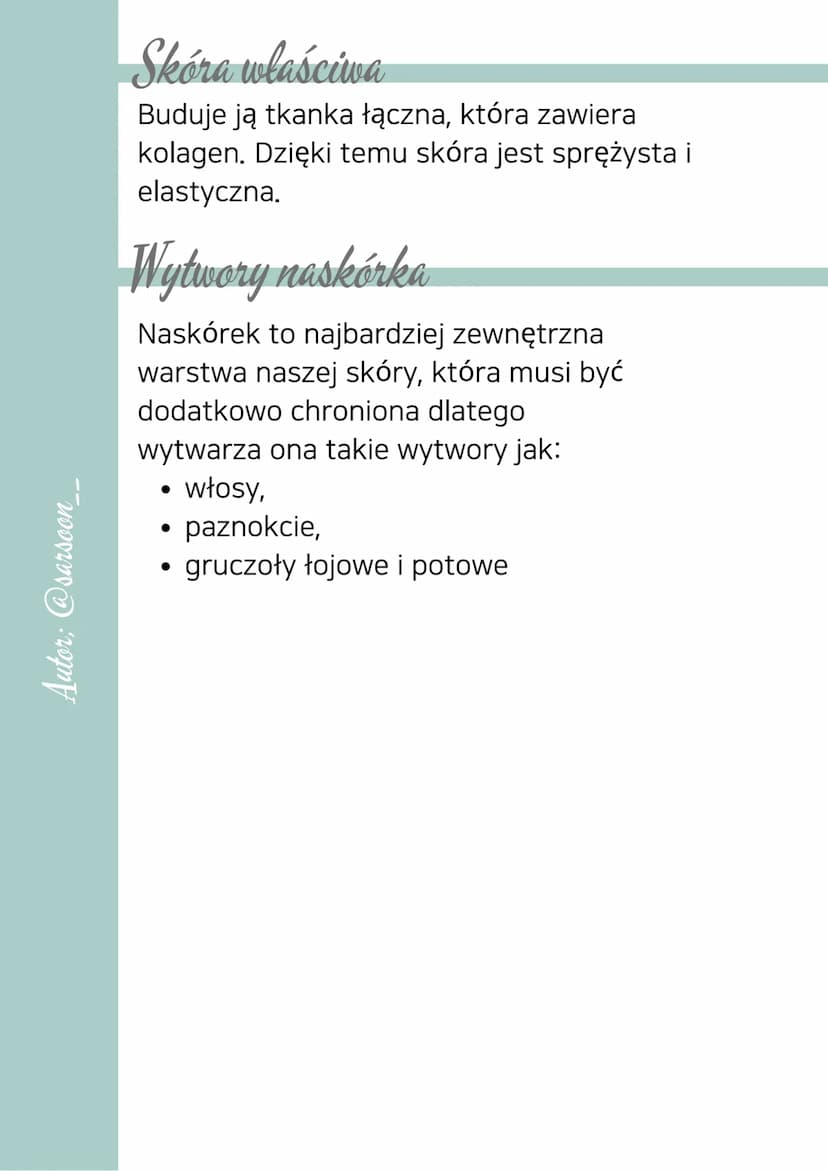 Autor: @sarsoon_
Budowa i funkcje skóry
Funkcje
• wydalanie,
• termoregulacja,
• ochronna,
• synteza,
• odbieranie bodźców z
otoczenia
Budow