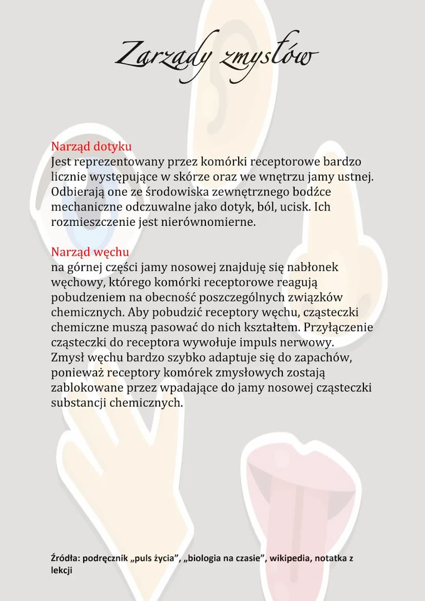 Zarządy zmysłów
Narządy zmysłów zbudowane są z odpowiedniego
receptora, znajdującego się na obwodzie ciała i wrażliwego
na określony rodzaj 