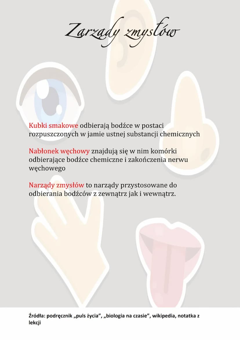 Zarządy zmysłów
Narządy zmysłów zbudowane są z odpowiedniego
receptora, znajdującego się na obwodzie ciała i wrażliwego
na określony rodzaj 