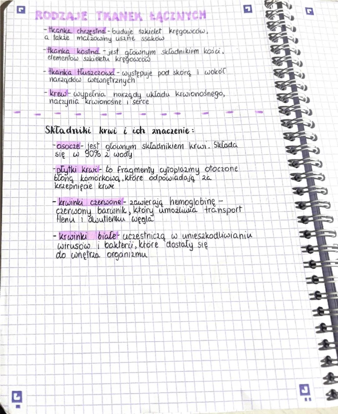 L
9.
Π
·Wspolne cechy wszystkich zwierząt:
- są organizmami wielokomórkowymi
- ich komórki mają jądro komórkowe, nie zawierają
chloroplastów
