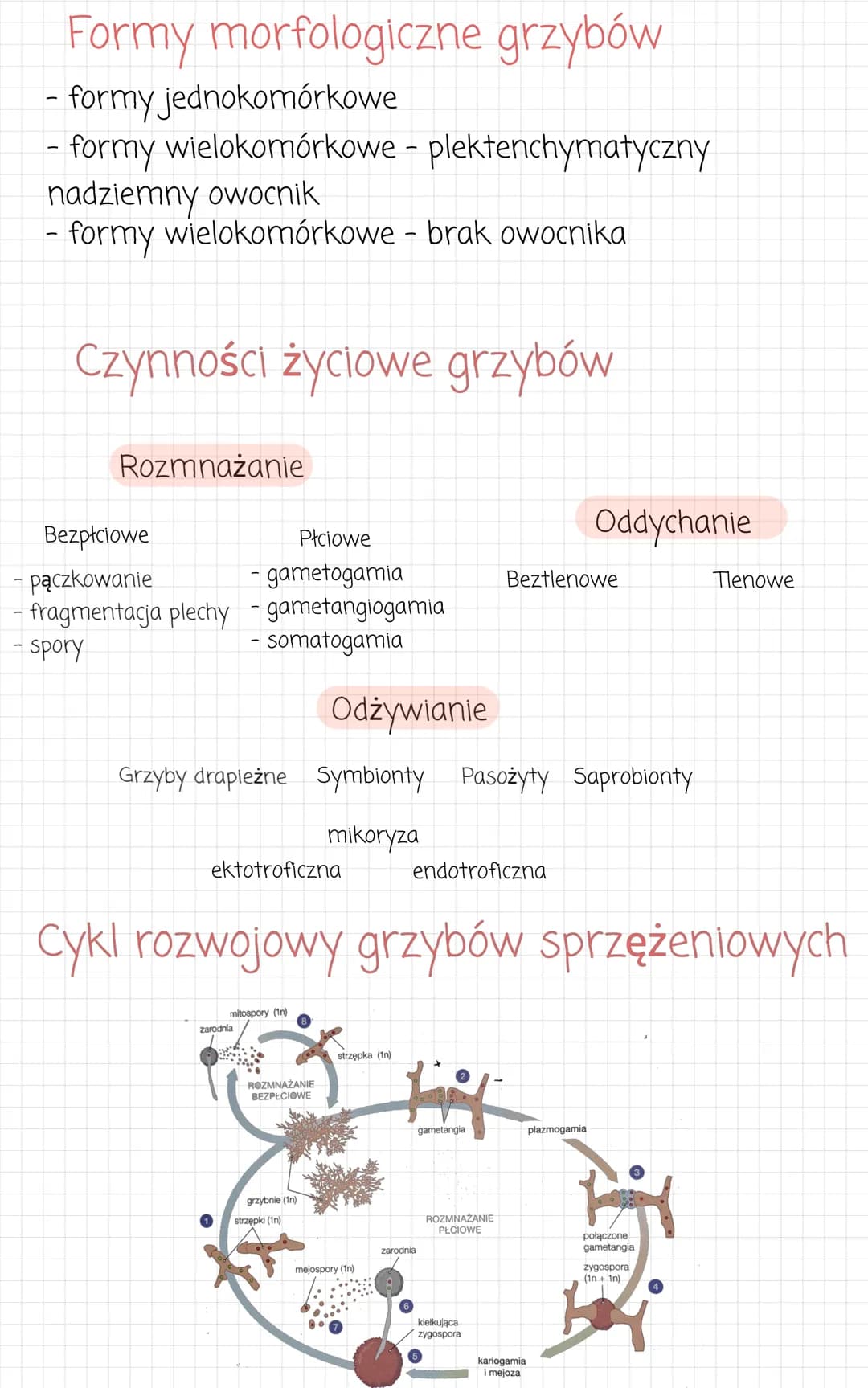 Budowa
ściana
komorkowa
wakuola.
rybosom.
jądro
komórkowe
aparat
Golgiego
Grzyby
CONS
cytozol
mitochondrium
centrosom
błona
komórkowa
peroks