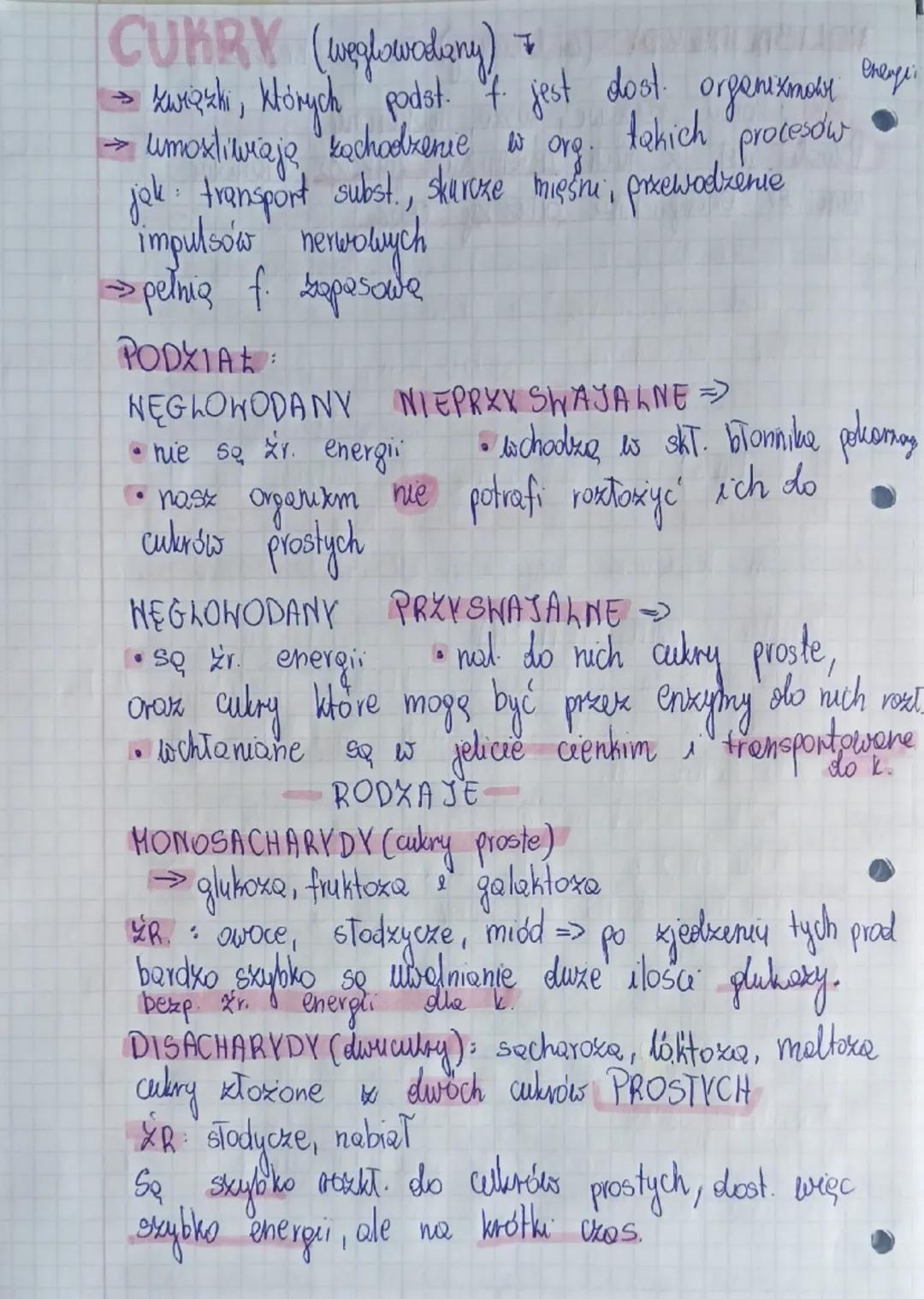 ## BŁONNIK POKARMOWY

Warzywa, owoce i produkty pełnoziarniste są produktami bogatymi w błonnik pokarmowy.
Błonnik jest materiałem budulcowy