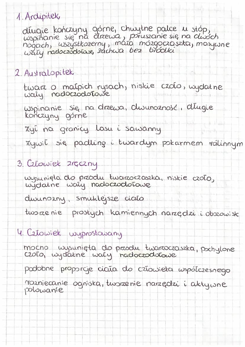 ANTROPOGENEZA
Antropogeneza - procesy ewolucyjne prowadzące do
powstania gatunku człowieka rozumnego.
Człowiek nalezy do królestwa zwierząt,