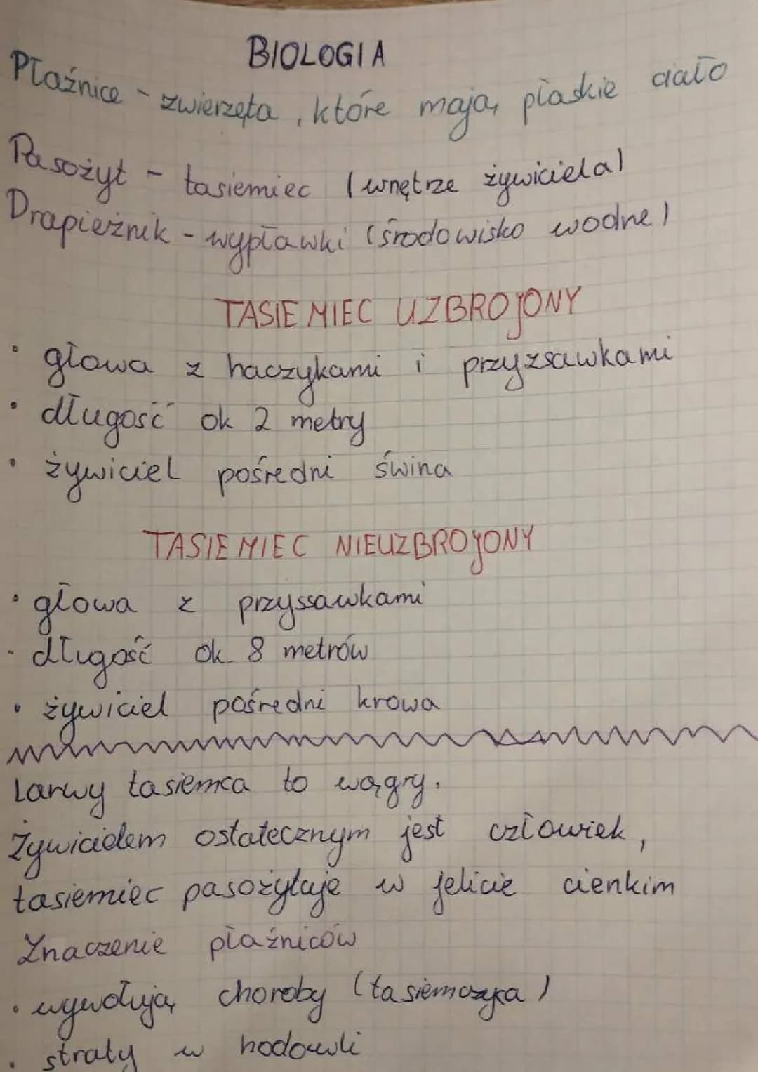 Tasiemce: Jak wyglądają i gdzie żyją