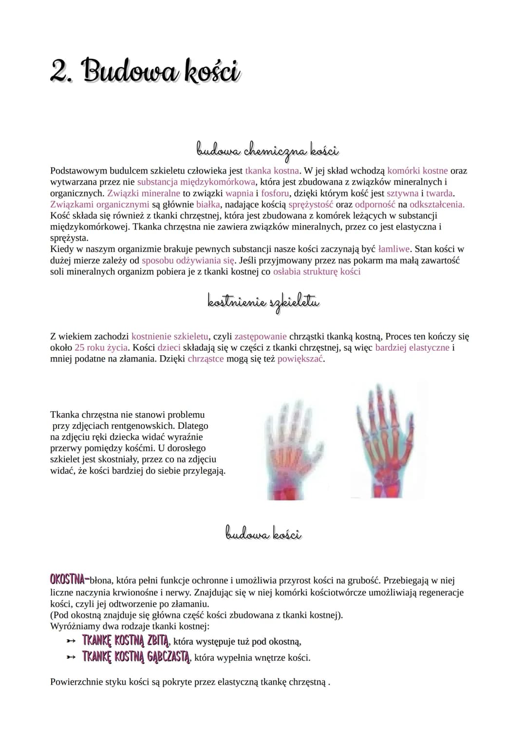 2. Budowa kości
budowa chemiczna kości
Podstawowym budulcem szkieletu człowieka jest tkanka kostna. W jej skład wchodzą komórki kostne oraz
