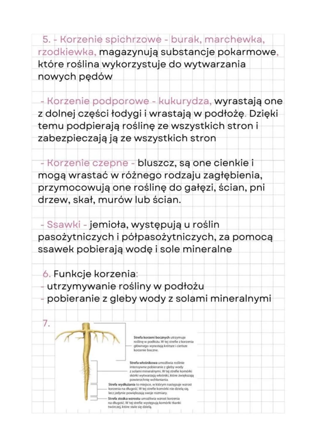 Biology
12.05.23
1. Funkcje tkanek miękiszowych:
- przywabiają owady
- zachodzi w nich fotosynteza
- gromadzą substancje pokarmowe
2. Liście