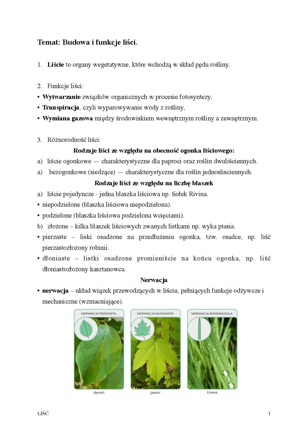 Budowa i funkcje liści. 