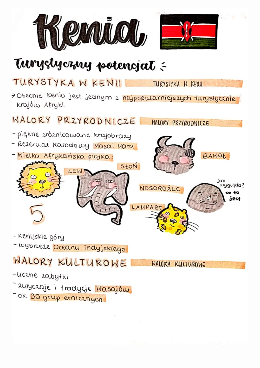 Kenia
Turystyczny potencjał
TURYSTYKA W KENII
TURYSTYKA W KENII
→ Obecnie Kenia jest jednym z najpopularniejszych turystycznie
krajów Afryki