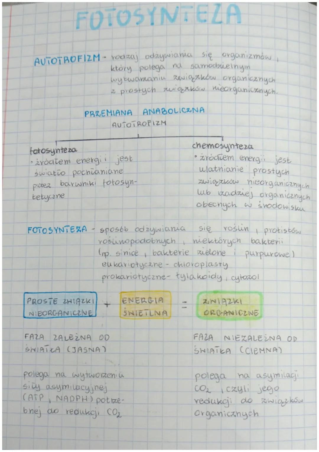 Fotosynteza - Proces Odżywiania Organizmu