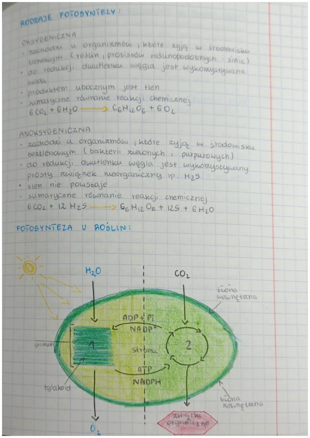# FOTOSYNTEZA

AUTOTROFIZM Yodzaj odżywiania się organizmów,
który polega na samodzielnym
wytwarzaniu związków organicznych
z prostych związ