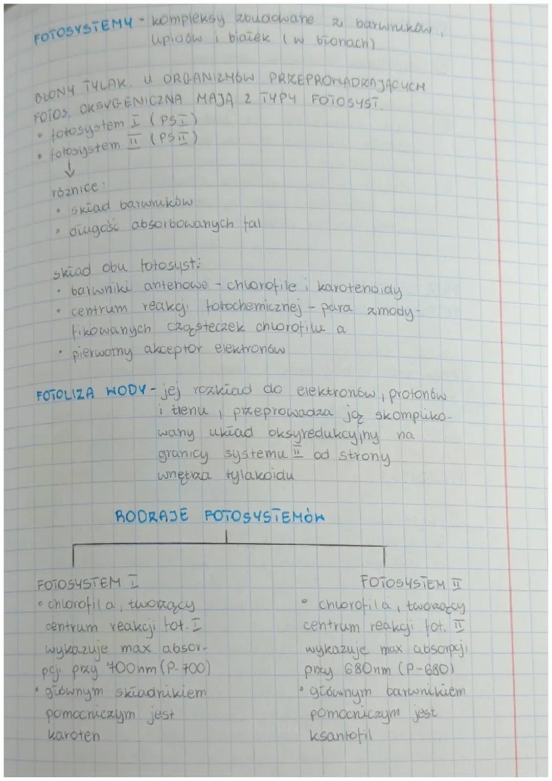 # FOTOSYNTEZA

AUTOTROFIZM Yodzaj odżywiania się organizmów,
który polega na samodzielnym
wytwarzaniu związków organicznych
z prostych związ