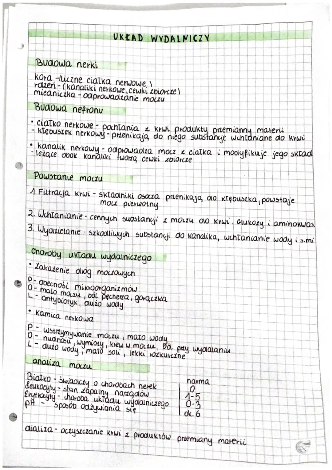 ●
Budowa nerki
kora -fliczne ciałka nerwowe
razen-(kanaliki nerkowe, cewki zbiorcze)
moczu
• Ciatko nerkowe - pochtania z krwi produkty prze