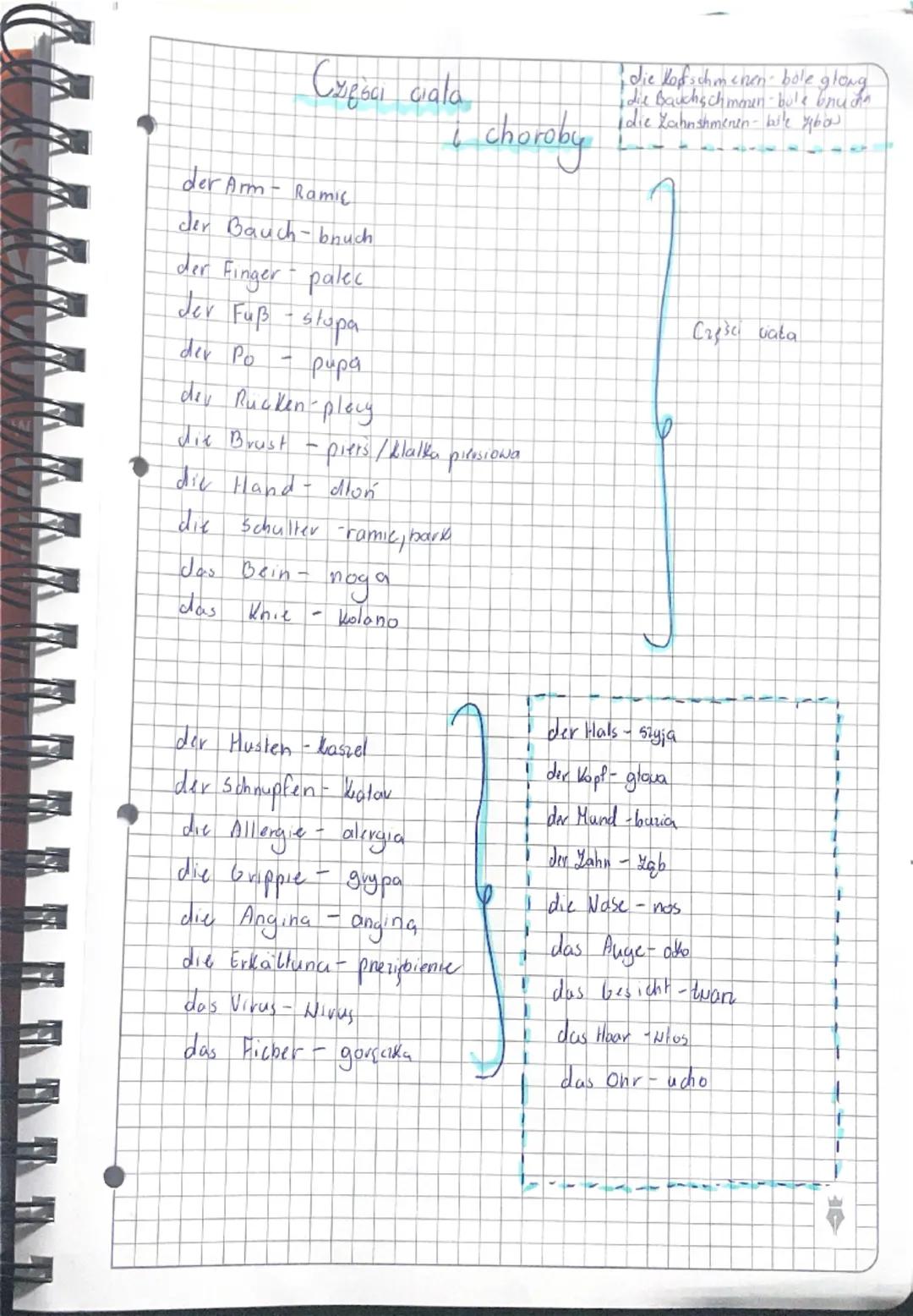 # Części ciała 
# i choroby

der Arm - Ramie
der Bauch - brzuch
der Finger - palec
der Fuß - stopa
der Po - pupa
der Rücken - plecy
die Brus