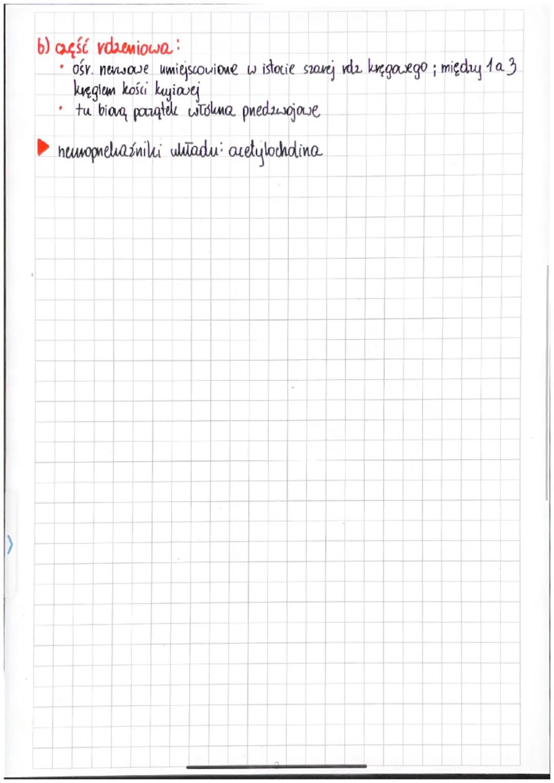 # budowa

1. układ współczulny

→ aktywuje się w sytuacji stresavej i mobilizuje organizm do działania, umo-

→

żliwiając mu stosowna, real