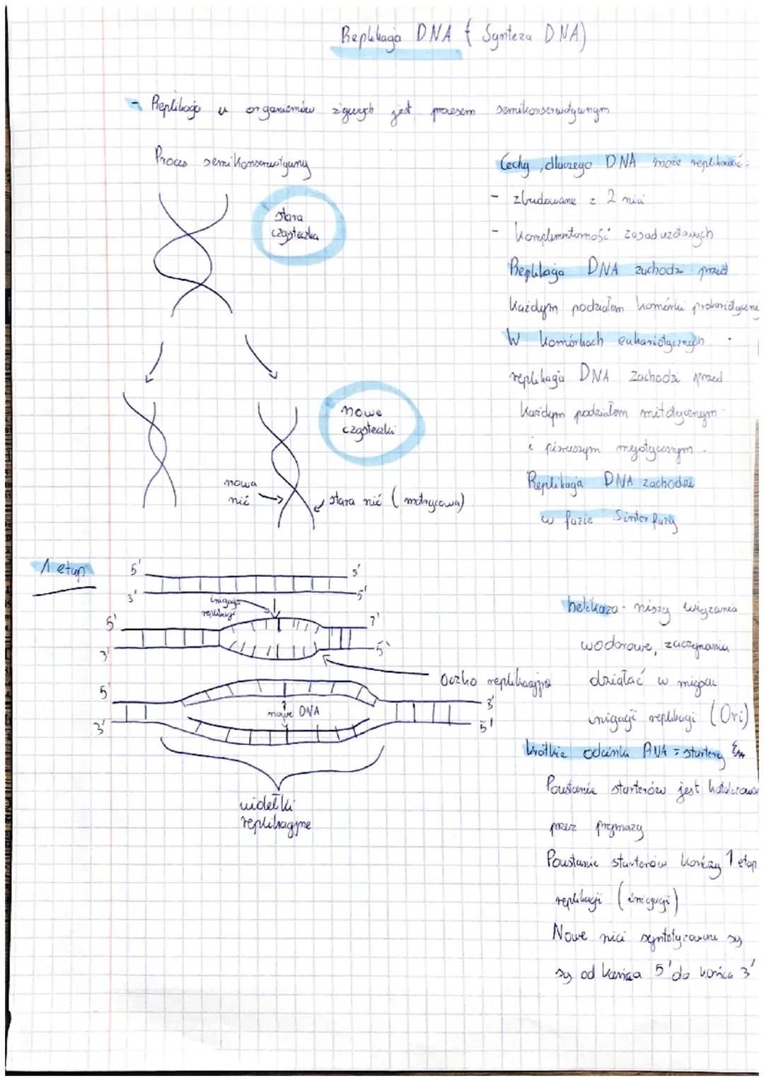 Replikaga DNA { Synteza DNA)
Replikago
u organizmie żywych jest procesem semikonserwatywnym
Proces semi konserwatyuny
Cechy, dlaczego DNA mo