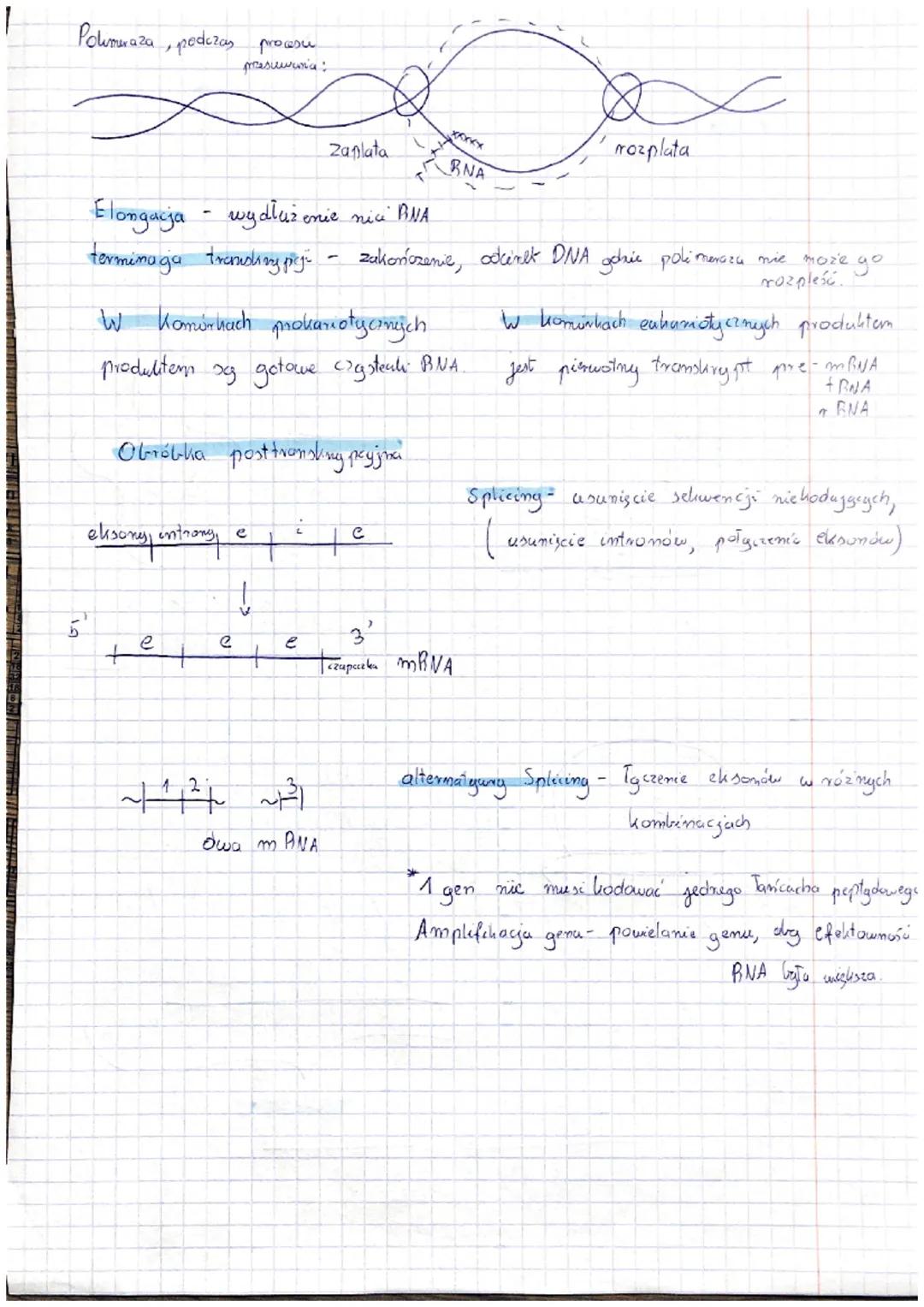 Replikaga DNA { Synteza DNA)
Replikago
u organizmie żywych jest procesem semikonserwatywnym
Proces semi konserwatyuny
Cechy, dlaczego DNA mo