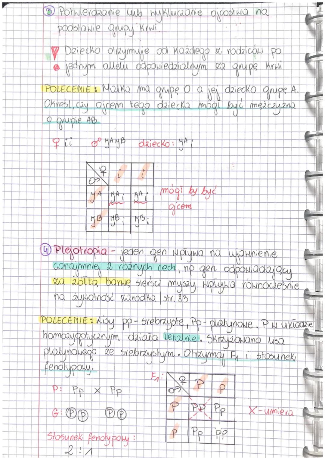 LEKCJA
Temat: ALLELE GRUP KRWI - ALLELE WIELOKROTNE.
со
@ Allele wielokrotne - jeden gen występuje w Co
najmniej to wersjach, ktore twork sz
