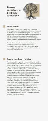 Know Rozwój zarodkowy i płodowy człowieka thumbnail