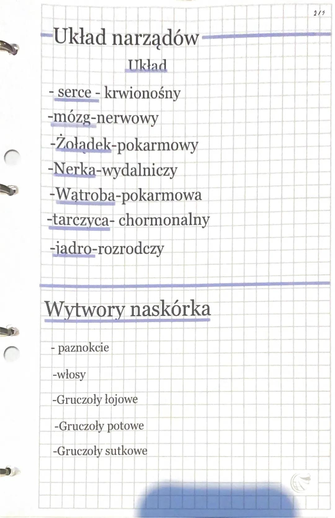 -Układ narządów
Układ
- serce - krwionośny
-mózg-nerwowy
-Żoładek-pokarmowy
-Nerka-wydalniczy
-Watroba-pokarmowa
-tarczyca-chormonalny
-jadr