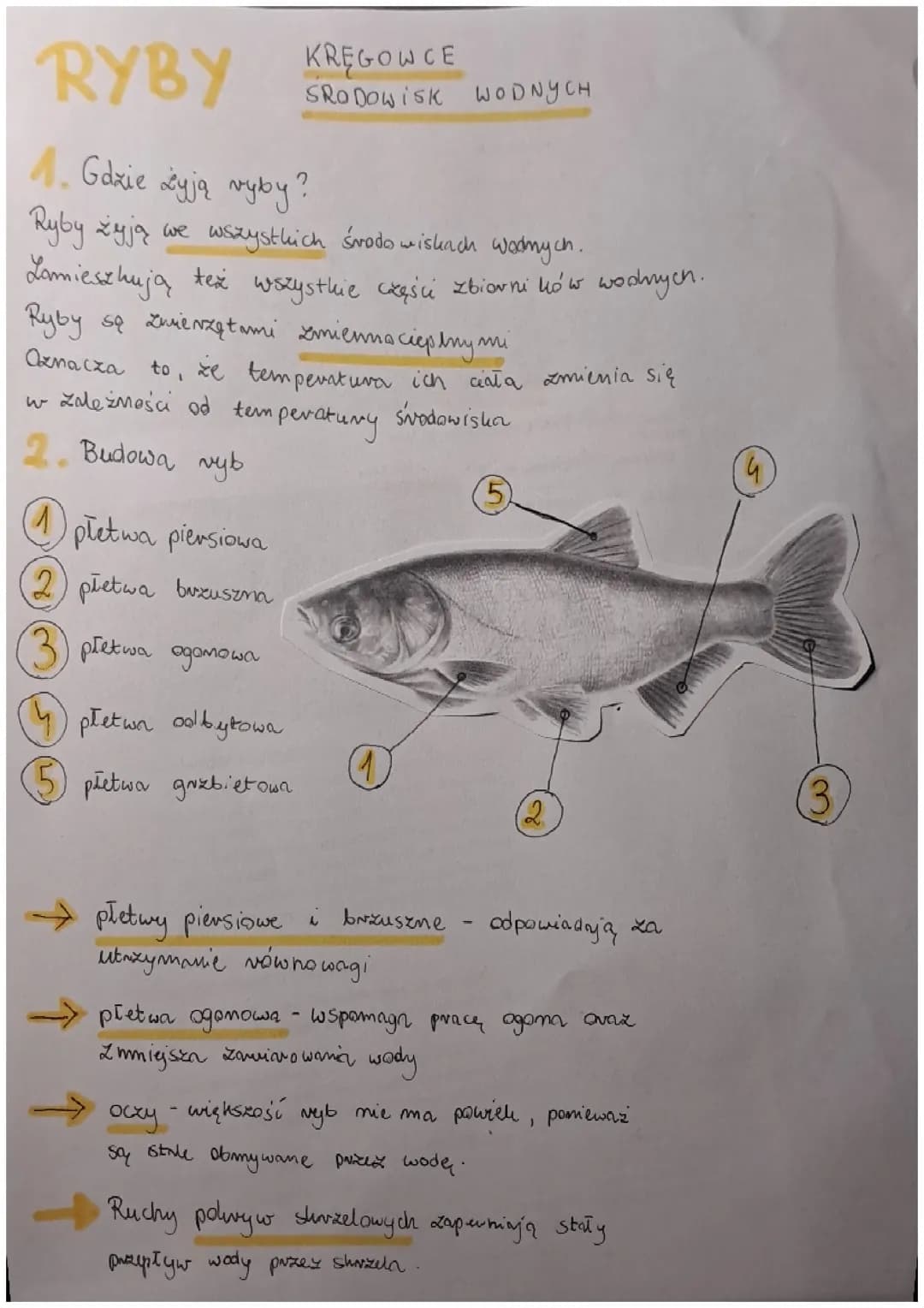 Ryby-kręgowce środowisk wodnych