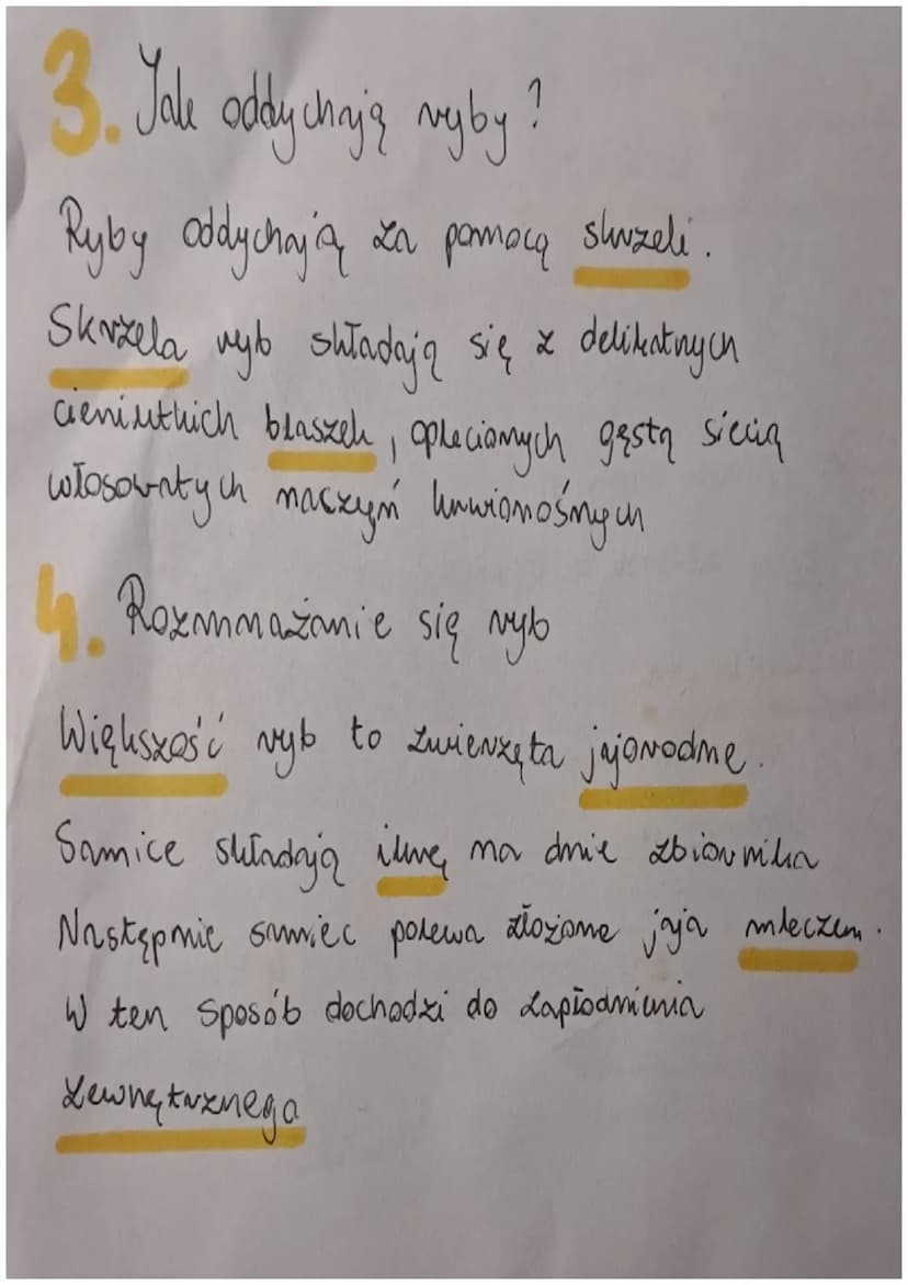RYBY
4. Gdzie yją ryby
KRĘGOWCE
SRODOWISK WODNYCH
Ryby żyją we wszystkich środowiskach wodnych.
Lamieszkują też wszystkie części zbiorników 