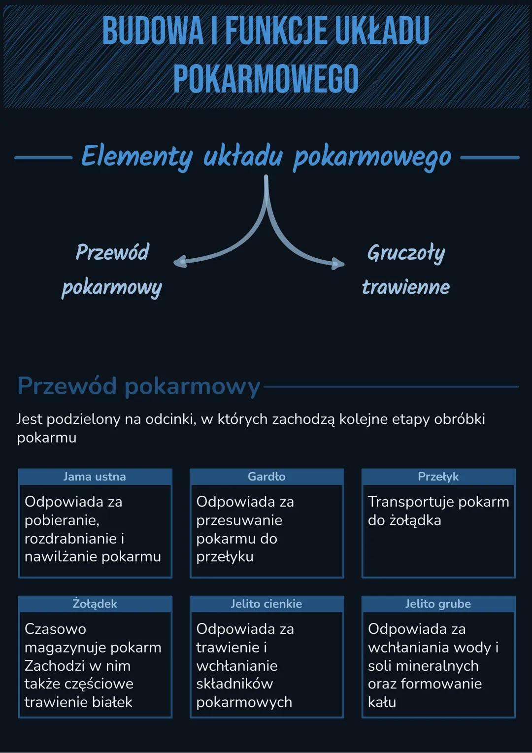 --- OCR Start ---
BUDOWA I FUNKCJE UKŁADU
POKARMOWEGO
Elementy układu pokarmowego
Przewód
pokarmowy
Gruczoły
trawienne
Przewód pokarmowy-
Je