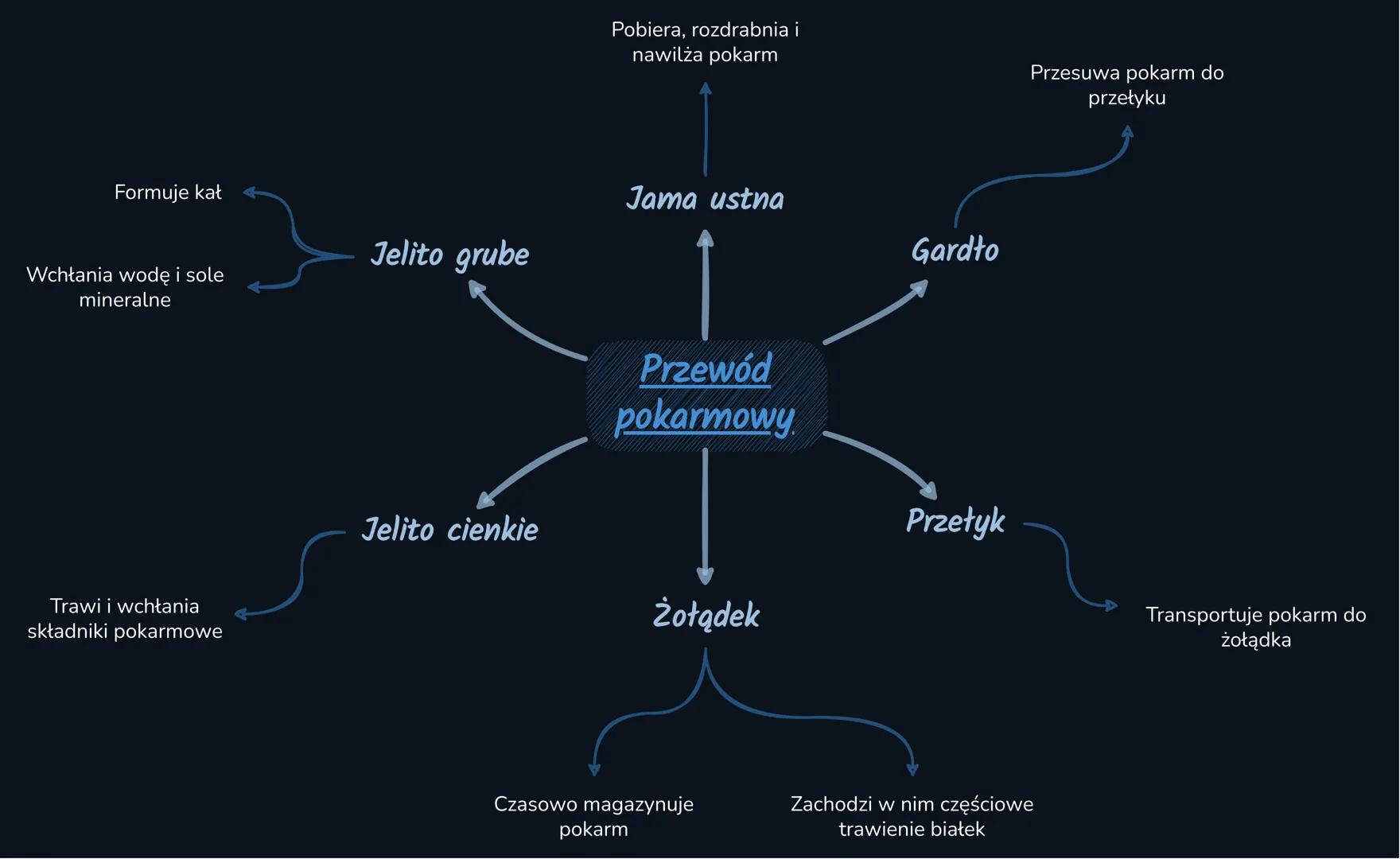 --- OCR Start ---
BUDOWA I FUNKCJE UKŁADU
POKARMOWEGO
Elementy układu pokarmowego
Przewód
pokarmowy
Gruczoły
trawienne
Przewód pokarmowy-
Je