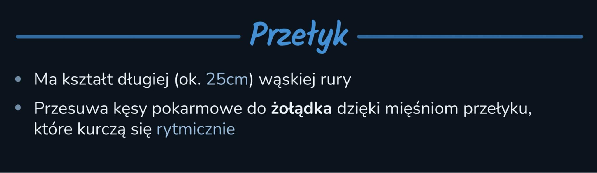--- OCR Start ---
BUDOWA I FUNKCJE UKŁADU
POKARMOWEGO
Elementy układu pokarmowego
Przewód
pokarmowy
Gruczoły
trawienne
Przewód pokarmowy-
Je