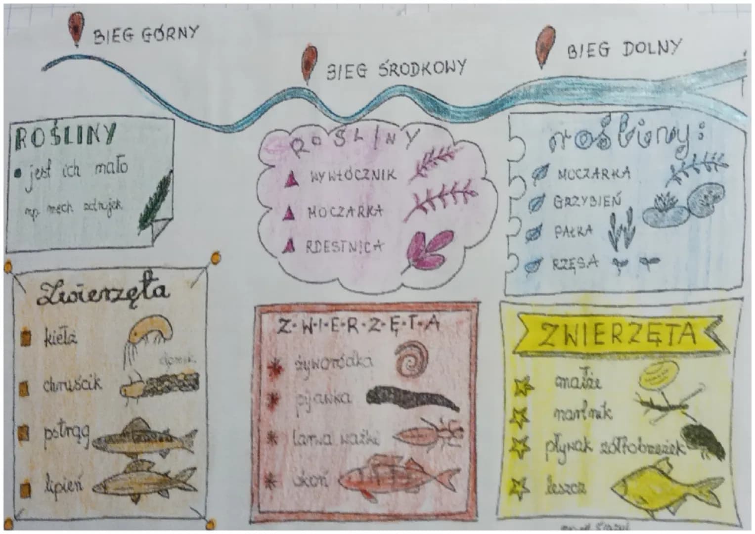 RODEO
Zbiegiem rzeki
UJSCIE
2AKOLE
BIEG GÓRNY
WĄSKIE
DUZA
MAŁA
KAMIENIE
BIEG ŚRODKOWY BIEG DOLNY
koryto
0 SZERSZE N
ybkość wody i ilość klen