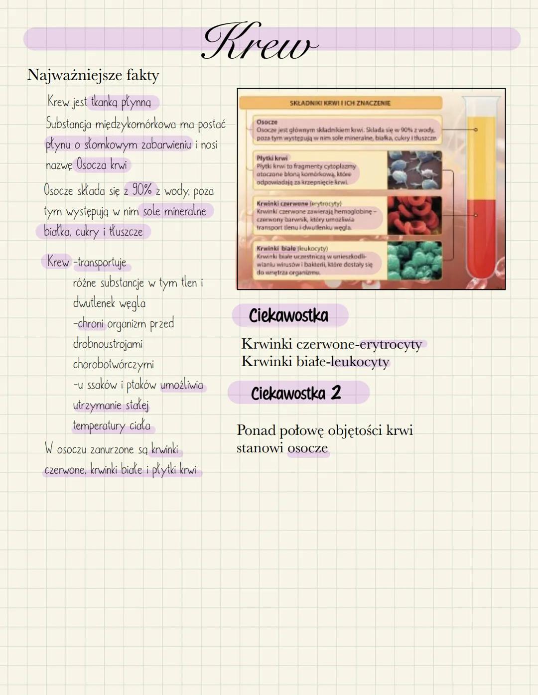 Tkanka Łączna i Krwi - Rodzaje, Budowa i Funkcje dla Dzieci