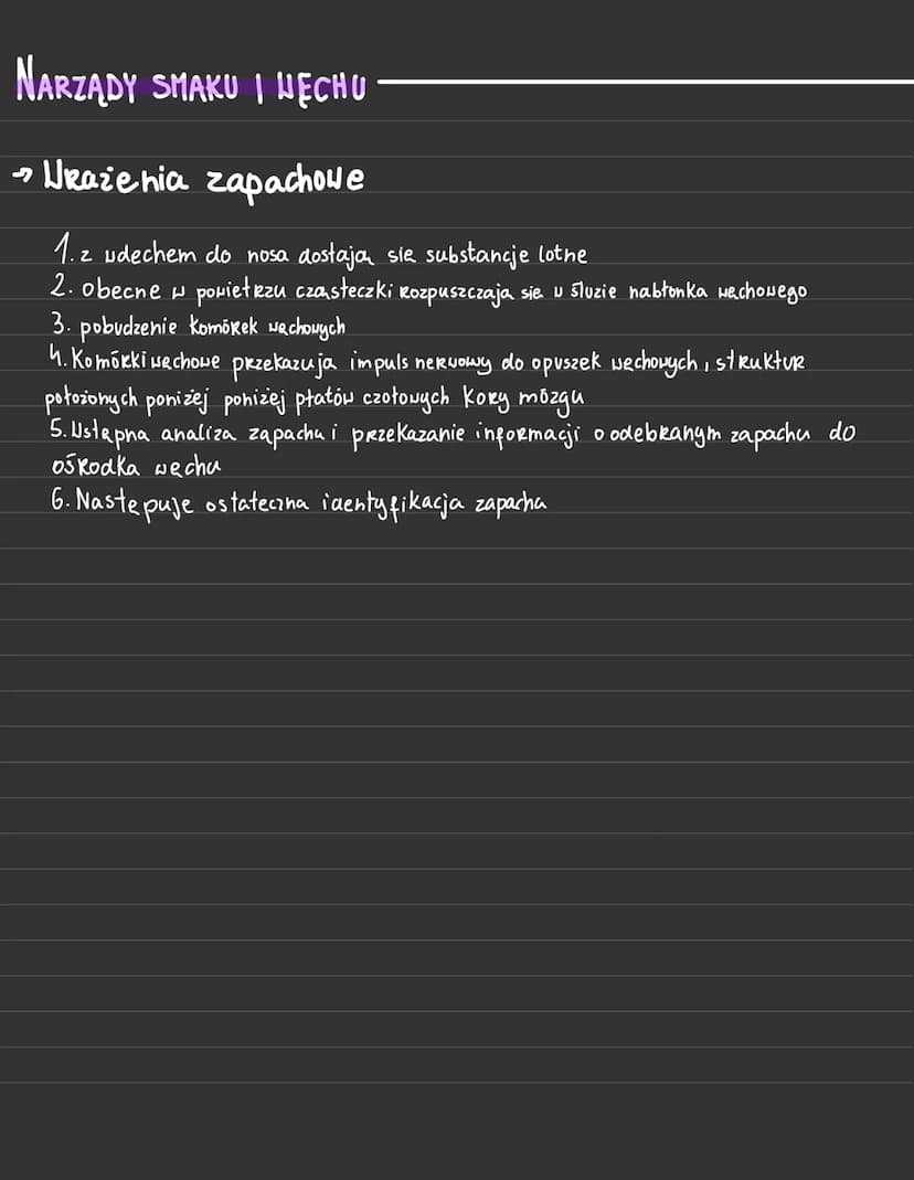 NARZĄDY SMAKU I HECHU
→> Budowa i funkcje narządu smaku
´harządem smaku sa kubki smakowe - umieszczone przede wszystkim w brodawkach języka,