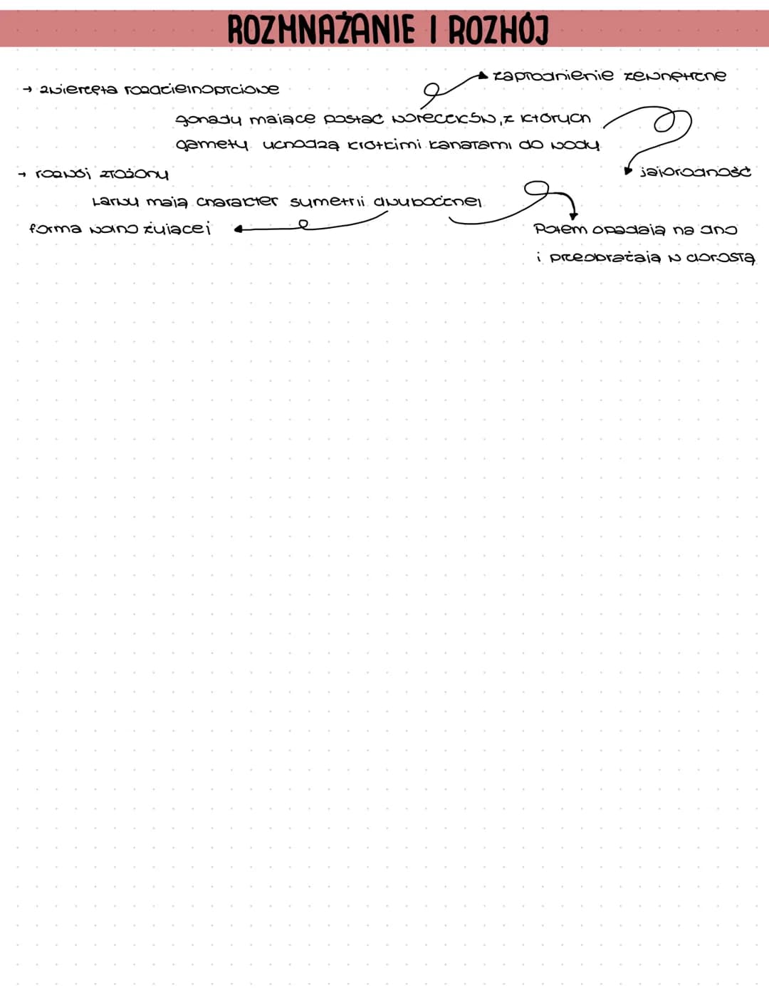 14
SZKARŁUPNIE
Definicia: ewienesta bextigone, morskie zasredialace wody.
Formy: Symetria promienista: formy osiadie, prunsiące, perxaiące
R