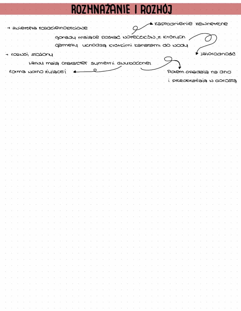 14
SZKARŁUPNIE
Definicia: ewienesta bextigone, morskie zasredialace wody.
Formy: Symetria promienista: formy osiadie, prunsiące, perxaiące
R