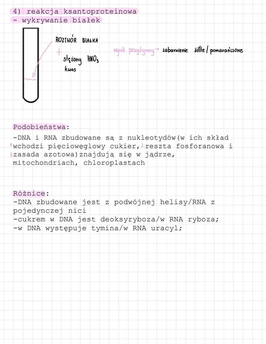 # Kwasy nukleinowe

kwasy nukleinowe -
polimery zbudowane z
monomerów którymi są
nukleotydy.
Zbudowane są z
C, H, O, N, P.

Budowa nukleotyd