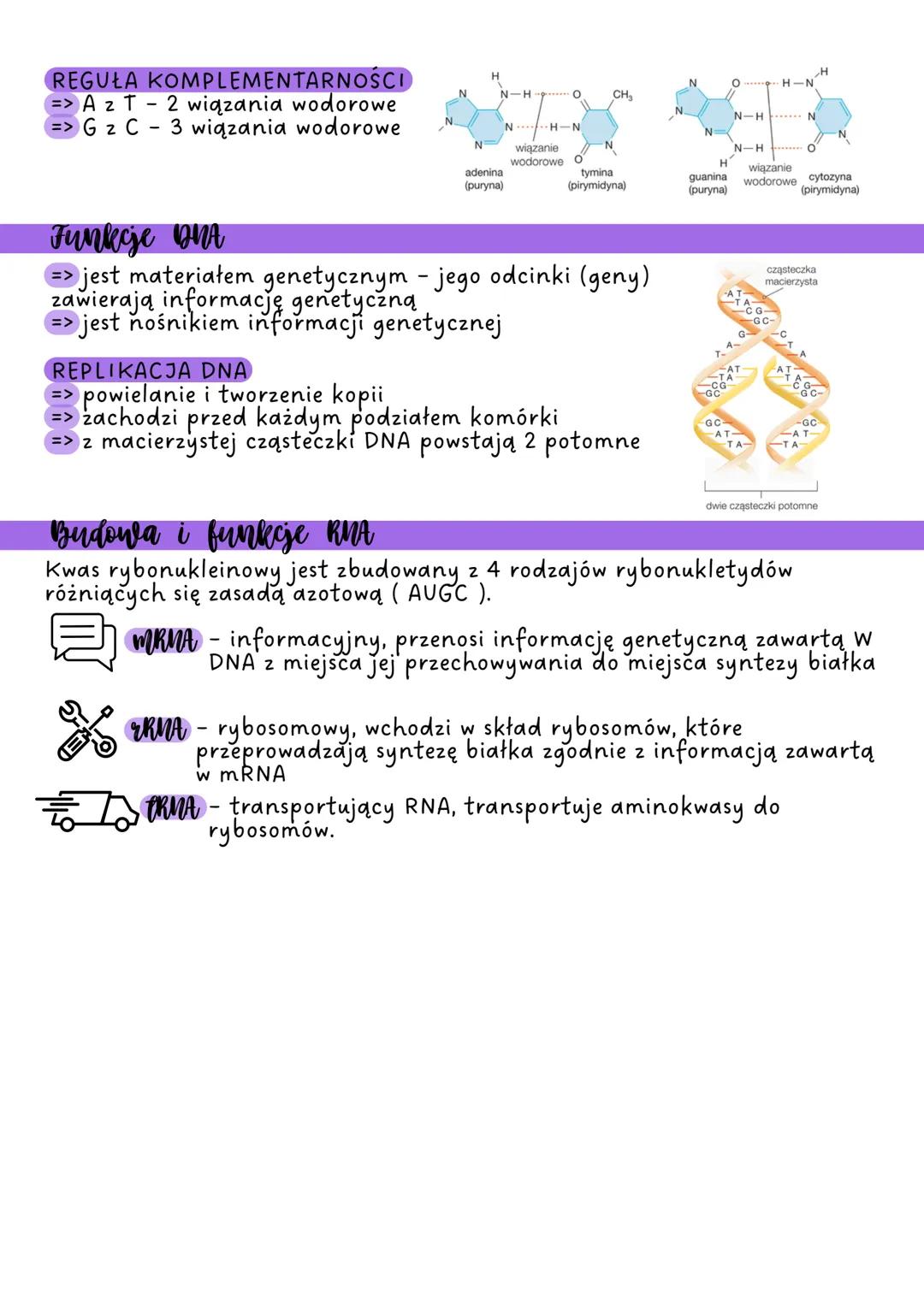 # NUKLEOTYDY

Nukleotydy to związki organiczne. Występują w w stanie wolnym lub łączą
tworząc dinukleotydy lub polinukleotydy - kwasy nuklei