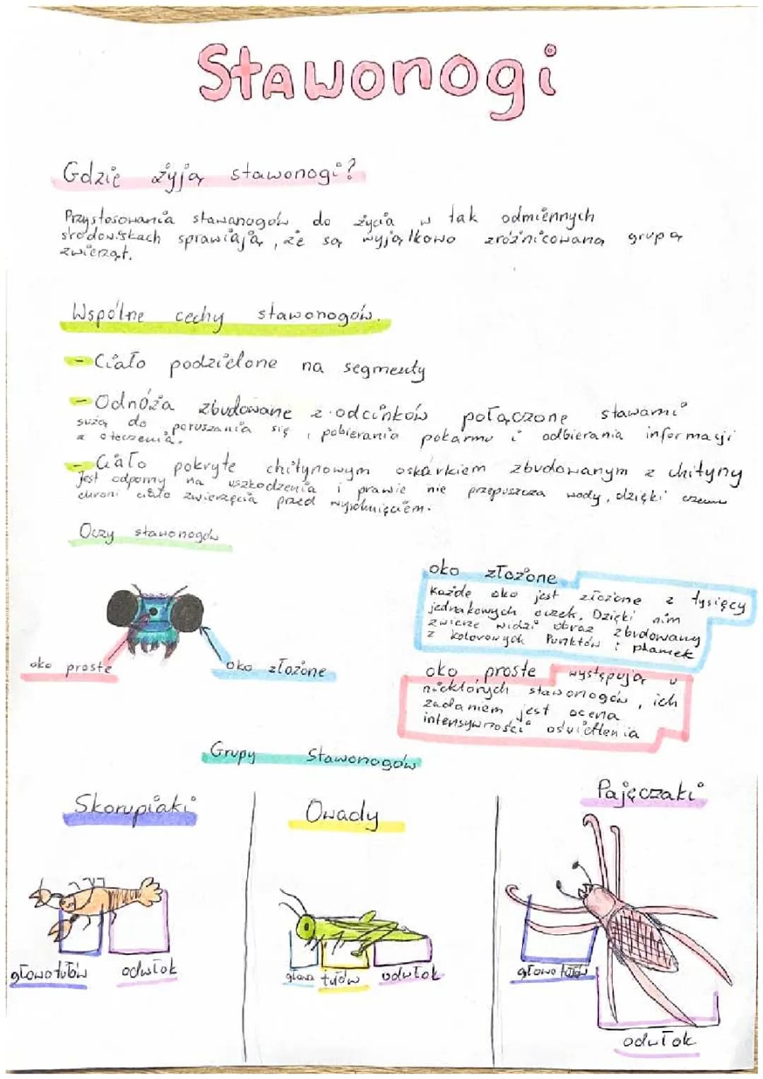 Biologia/stawonogi i mięczaki/klasa 6
