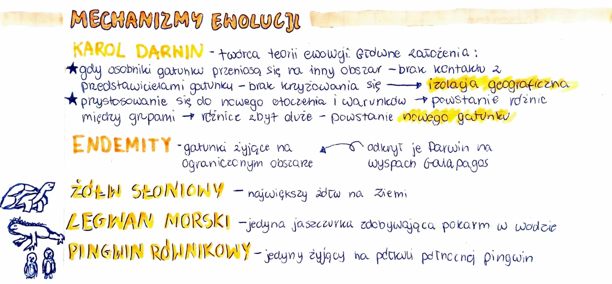 MECHANIZMY ENOLUCJI
KAROL DARNIN-tworca teorii ewowgi. Głowne założenia:
gdy osobniki gatunku przeniosą się na inny obszar - brak kontaktu 2