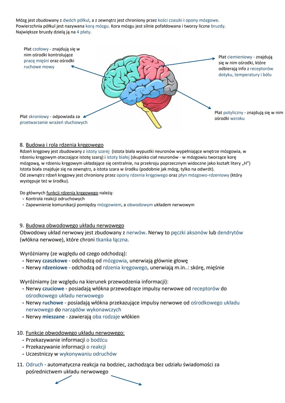 
<h3 id="1funkcjeukadunerwowego">1. Funkcje układu nerwowego:</h3>
<ul>
<li>Reakcja na bodźce</li>
<li>Odbiór i analiza bodźców ze świata ze