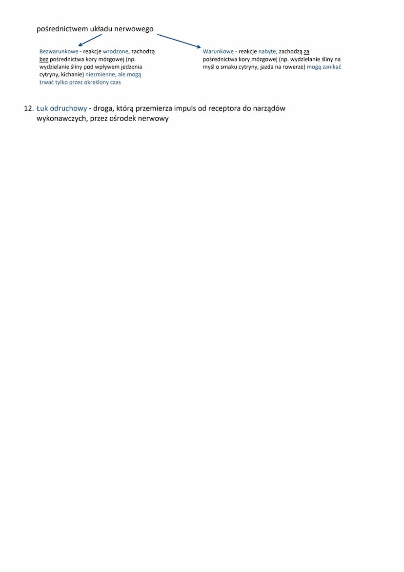 
<h3 id="1funkcjeukadunerwowego">1. Funkcje układu nerwowego:</h3>
<ul>
<li>Reakcja na bodźce</li>
<li>Odbiór i analiza bodźców ze świata ze