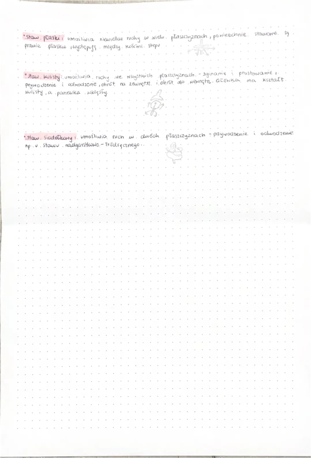 
<h3 id="poczeniacisekoci">Połączenia ścisłe kości</h3>
<p>Kości tarczają się. Połączenia ścisłe kości mają bardzo ograniczoną ruchomość. W 