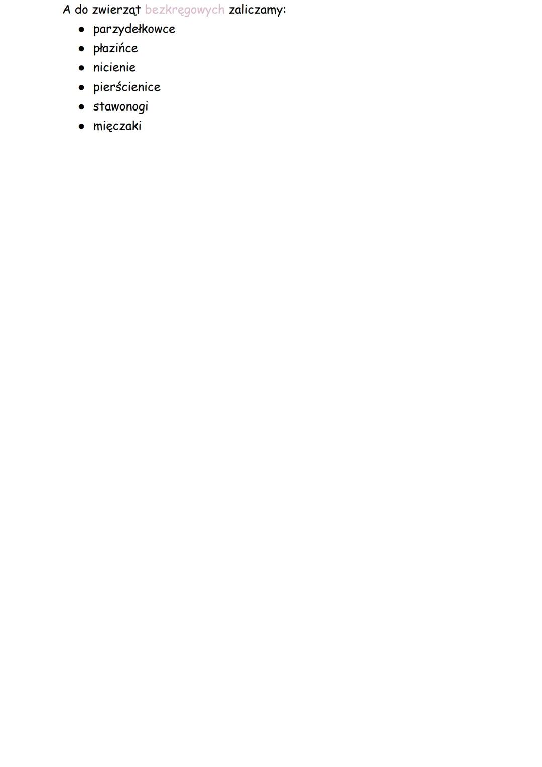 W królestwie zwierząt
Zwierzęta to organizmy wielokomórkowe, ich komórki mają jądro komórkowe
oraz nie zawierają chloroplastów i są organizm