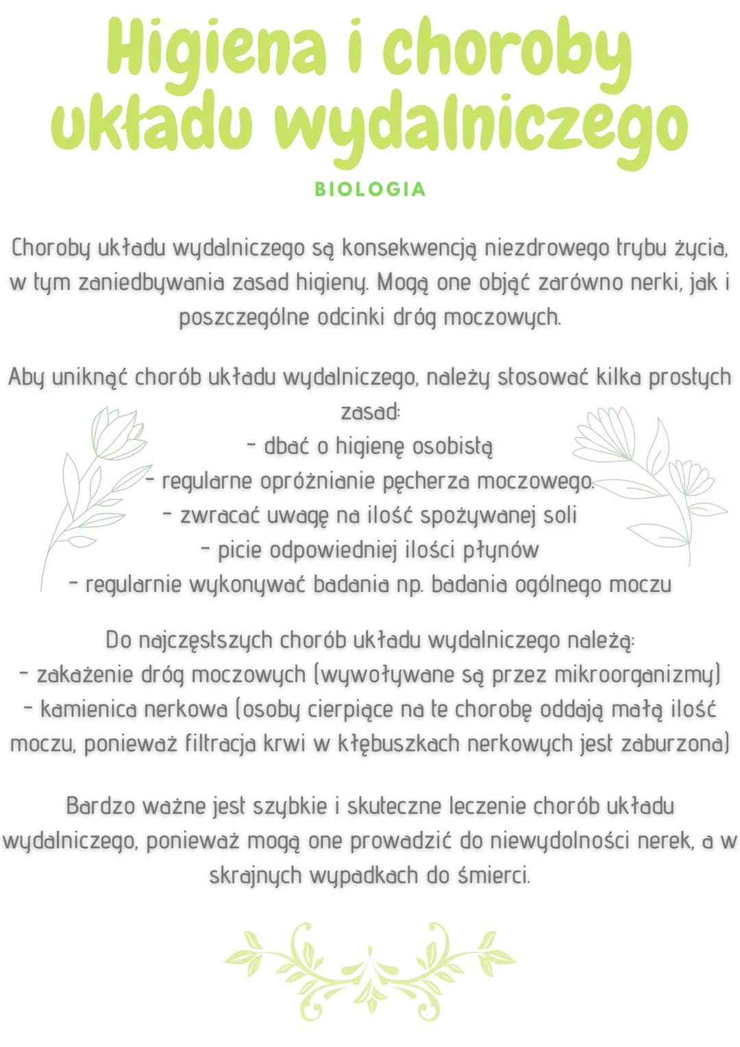 Higiena i choroby
układu wydalniczego
BIOLOGIA
Choroby układu wydalniczego są konsekwencją niezdrowego trybu życia,
w tym zaniedbywania zasa