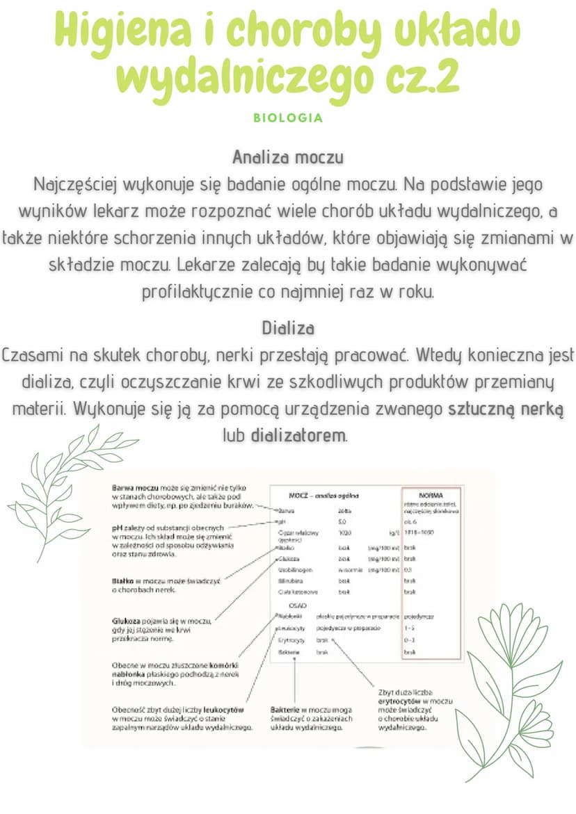 Higiena i choroby
układu wydalniczego
BIOLOGIA
Choroby układu wydalniczego są konsekwencją niezdrowego trybu życia,
w tym zaniedbywania zasa