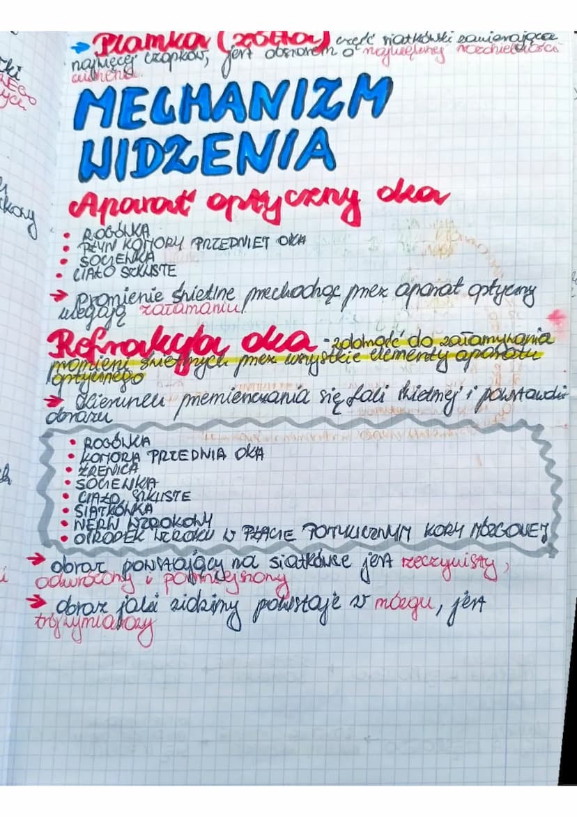 Liska
e
a
Kame
egi
BUDONA I DZIAŁANIE
NARZĄDU HEROKY
Ngradem Nzroku jest oko znajdujące się w oczoddle
się
GAZKI OCENE
• NERNU NEROKONEGO
• 