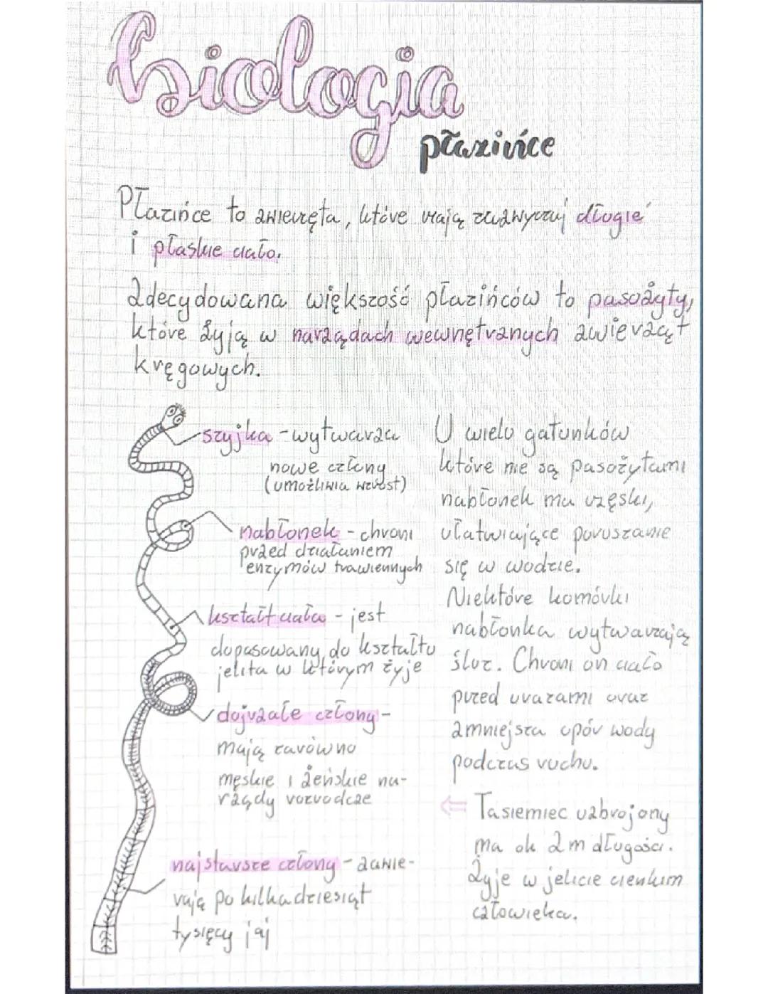 Biologia Płazińce dla Klasy 6: Powtórka i Przygotowanie